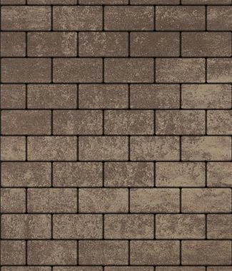 Тротуарная плитка ПРЯМОУГОЛЬНИК 200х100 Листопад гладкий Старый замок Б.2.П.6 Выбор 60 мм