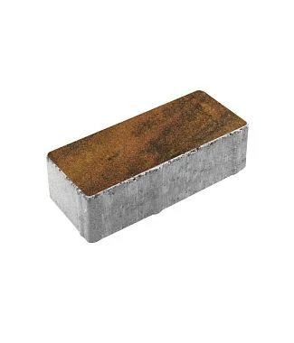 Тротуарная плитка ПРЯМОУГОЛЬНИК 240х120 Листопад гладкий Саванна Б.3.П.6 Выбор 60 мм