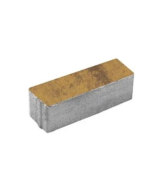 Тротуарная плитка ПРЯМОУГОЛЬНИК 600х200 Листопад гладкий Янтарь Б.6.П.8 Выбор 80 мм