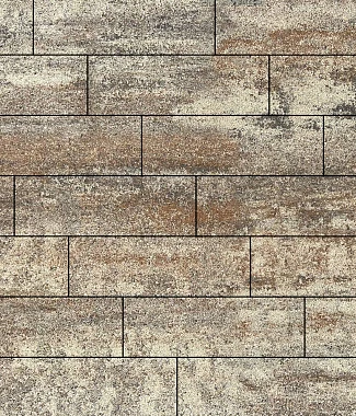 Тротуарная плитка ПРЯМОУГОЛЬНИК 750х250 Искусственный камень Доломит Б.12.П.8 Выбор 80 мм