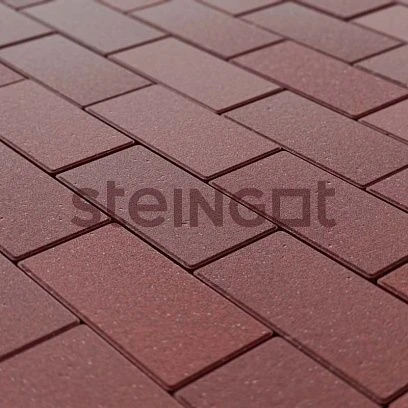 Тротуарная плитка Прямоугольник 200*100 Темно-Красный (верхний прокрас, минифаска) Steingot 60 мм