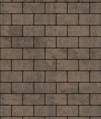 Тротуарная плитка ПРЯМОУГОЛЬНИК 200х100 Листопад гладкий Старый замок Б.2.П.6 Выбор 60 мм