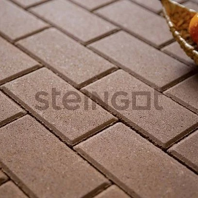 Тротуарная плитка Прямоугольник 200*100 Коричневый (верхний прокрас) Steingot 60 мм