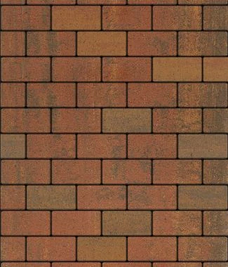 Тротуарная плитка ПРЯМОУГОЛЬНИК 200х100 Листопад гладкий Старый замок Б.2.П.6 Выбор 60 мм