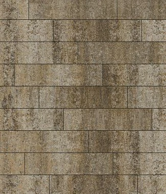 Тротуарная плитка ПРЯМОУГОЛЬНИК Листопад гладкий Хаски В.11.П.10 Выбор 100 мм