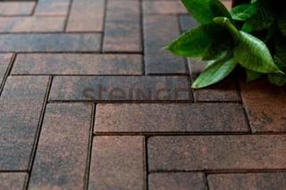 Тротуарная плитка Паркет Тигр Steingot 60 мм