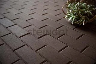 Тротуарная плитка Прямоугольник 200*100 Бежевый (верхний прокрас) Steingot 60 мм