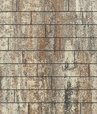 Тротуарная плитка ПРЯМОУГОЛЬНИК Листопад гладкий Хаски В.11.П.10 Выбор 100 мм