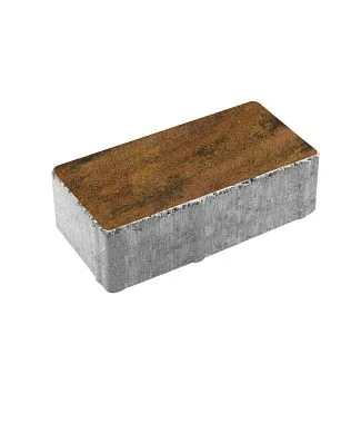 Тротуарная плитка ПРЯМОУГОЛЬНИК 200х100 Листопад гладкий Саванна Б.2.П.6 Выбор 60 мм