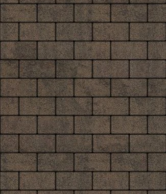 Тротуарная плитка ПРЯМОУГОЛЬНИК 200х100 Листопад гранит Старый замок Б.2.П.6 Выбор 60 мм