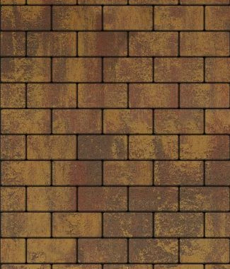 Тротуарная плитка ПРЯМОУГОЛЬНИК 200х100 Листопад гладкий Старый замок Б.2.П.6 Выбор 60 мм