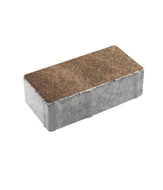 Тротуарная плитка ПРЯМОУГОЛЬНИК 200х100 Листопад гранит Клен Б.2.П.6 Выбор 60 мм