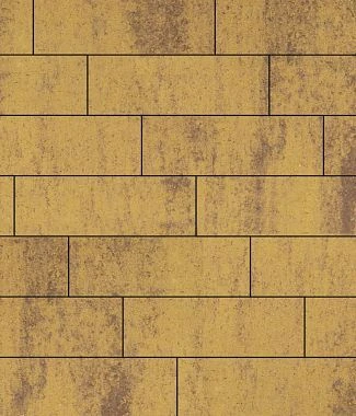 Тротуарная плитка ПРЯМОУГОЛЬНИК 750х250 Искусственный камень Доломит Б.12.П.8 Выбор 80 мм