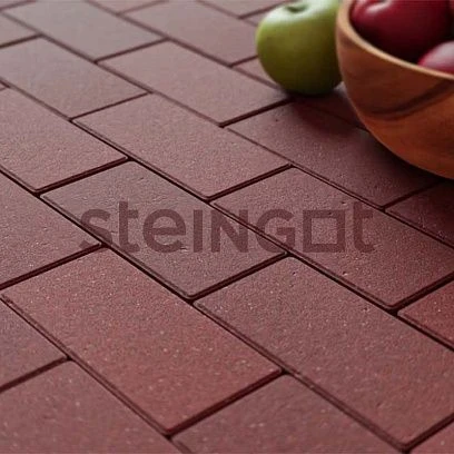 Тротуарная плитка Прямоугольник 200*100 Темно-Красный (верхний прокрас, минифаска) Steingot 60 мм