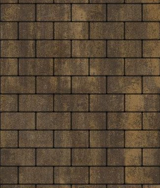 Тротуарная плитка ПРЯМОУГОЛЬНИК 200х100 Листопад гладкий Старый замок Б.2.П.6 Выбор 60 мм