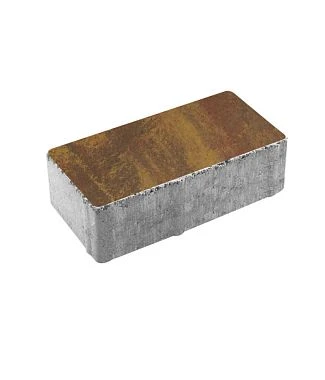 Тротуарная плитка ПРЯМОУГОЛЬНИК 200х100 Листопад гладкий Осень Б.2.П.6 Выбор 60 мм