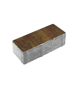 Тротуарная плитка ПРЯМОУГОЛЬНИК 240х120 Листопад гранит Осень Б.3.П.6 Выбор 60 мм