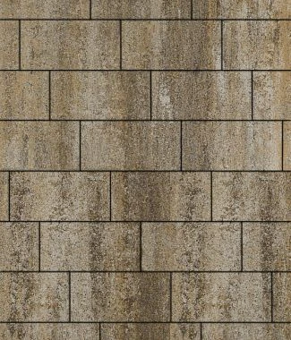 Тротуарная плитка ПРЯМОУГОЛЬНИК 300х150 Листопад гладкий Саванна Б.10.П.8 Выбор 80 мм