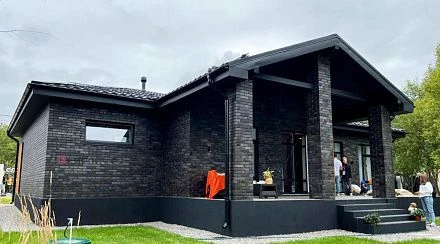 Кирпич облицовочный BRAER PRO 34.03М одинарный 1 NF