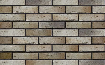 Кирпич облицовочный BRAER PRO 14.04.1 одинарный 1 NF