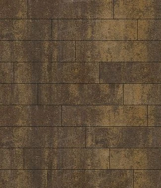 Тротуарная плитка ПРЯМОУГОЛЬНИК Листопад гладкий Хаски В.11.П.10 Выбор 100 мм