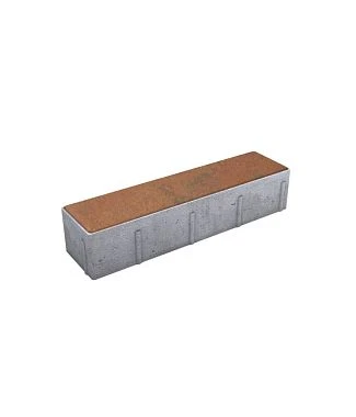 Тротуарная плитка ПРЯМОУГОЛЬНИК Листопад гладкий Арабская ночь В.11.П.10 Выбор 100 мм