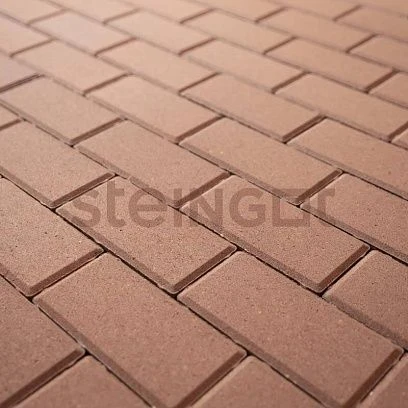 Тротуарная плитка Прямоугольник 200*100 Бежевый (верхний прокрас) Steingot 60 мм