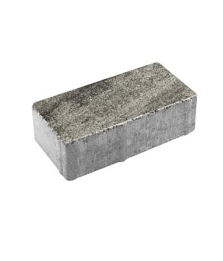 Тротуарная плитка ПРЯМОУГОЛЬНИК 200х100 Листопад гладкий Антрацит Б.2.П.6 Выбор 60 мм