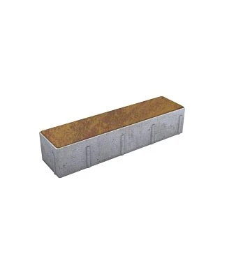 Тротуарная плитка ПРЯМОУГОЛЬНИК Листопад гладкий Осень В.11.П.10 Выбор 100 мм