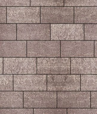 Тротуарная плитка ПРЯМОУГОЛЬНИК 300х150 Листопад гладкий Саванна Б.10.П.8 Выбор 80 мм