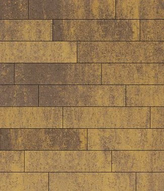 Тротуарная плитка ПРЯМОУГОЛЬНИК Листопад гладкий Хаски В.11.П.10 Выбор 100 мм