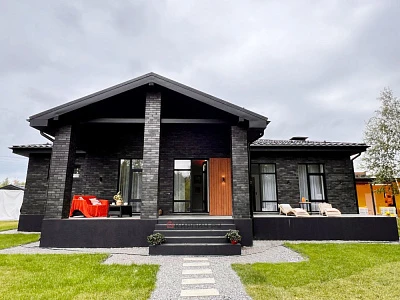 Кирпич облицовочный BRAER PRO 34.03М одинарный 1 NF