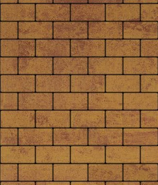 Тротуарная плитка ПРЯМОУГОЛЬНИК 200х100 Листопад гладкий Старый замок Б.2.П.6 Выбор 60 мм