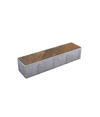 Тротуарная плитка ПРЯМОУГОЛЬНИК Листопад гладкий Клен В.11.П.10 Выбор 100 мм