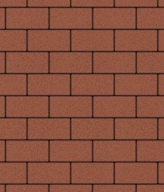 Тротуарная плитка ПРЯМОУГОЛЬНИК 240х120 Стандарт Коричневый Б.3.П.6 Выбор 60 мм