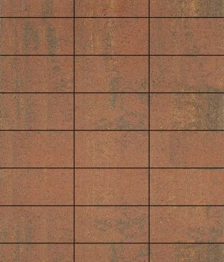 Тротуарная плитка ПРЯМОУГОЛЬНИК 300х150 Листопад гладкий Саванна Б.10.П.8 Выбор 80 мм