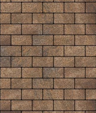 Тротуарная плитка ПРЯМОУГОЛЬНИК 200х100 Листопад гранит Старый замок Б.2.П.6 Выбор 60 мм