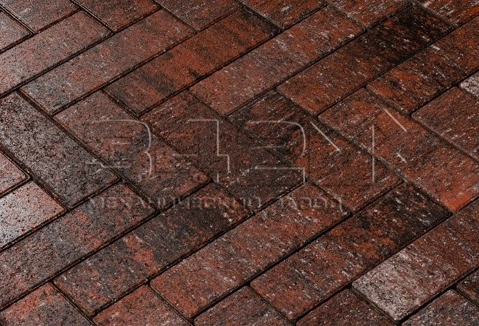 Тротуарная плитка Паркет 240x80x60мм Вулкан 342 МЗ