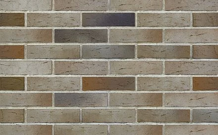 Кирпич облицовочный BRAER PRO 14.04.1 одинарный 1 NF