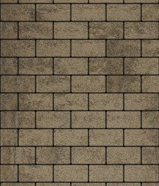 Тротуарная плитка ПРЯМОУГОЛЬНИК 200х100 Листопад гладкий Старый замок Б.2.П.6 Выбор 60 мм