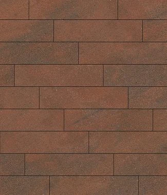 Тротуарная плитка ПРЯМОУГОЛЬНИК Листопад гладкий Хаски В.11.П.10 Выбор 100 мм