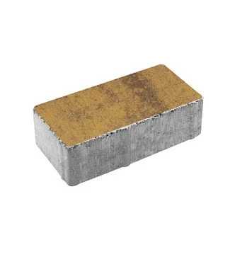 Тротуарная плитка ПРЯМОУГОЛЬНИК 200х100 Листопад гладкий Янтарь Б.2.П.6 Выбор 60 мм