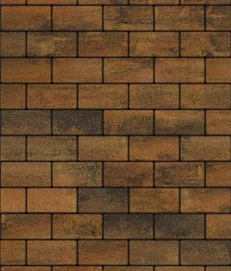 Тротуарная плитка ПРЯМОУГОЛЬНИК 200х100 Листопад гладкий Старый замок Б.2.П.6 Выбор 60 мм