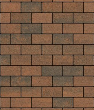 Тротуарная плитка ПРЯМОУГОЛЬНИК 200х100 Листопад гладкий Старый замок Б.2.П.6 Выбор 60 мм