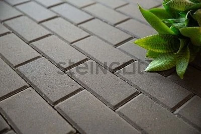 Брусчатка Прямоугольник 200*100 Серый (полный прокрас) Steingot 40 мм