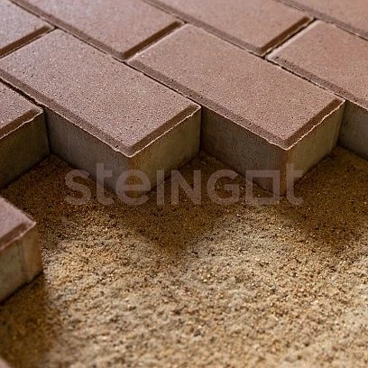 Тротуарная плитка Прямоугольник 200*100 Коричневый (верхний прокрас) Steingot 60 мм