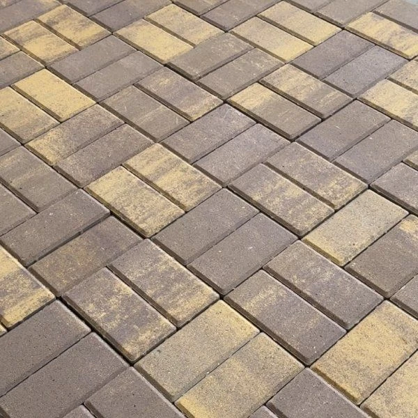 Брусчатка бетонная 2П4Ф 200*100 КОЛОРМИКС №24 Листопад Нобетек 40 мм