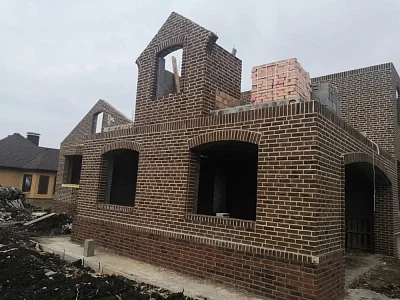 Кирпич ручной формовки Данилово WDF 215x50x65