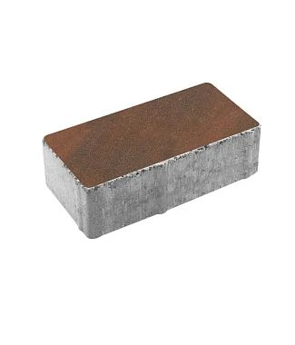 Тротуарная плитка ПРЯМОУГОЛЬНИК 200х100 Листопад гладкий Клинкер Б.2.П.6 Выбор 60 мм