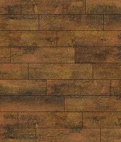 Тротуарная плитка ПРЯМОУГОЛЬНИК Листопад гладкий Саванна В.11.П.10 Выбор 100 мм